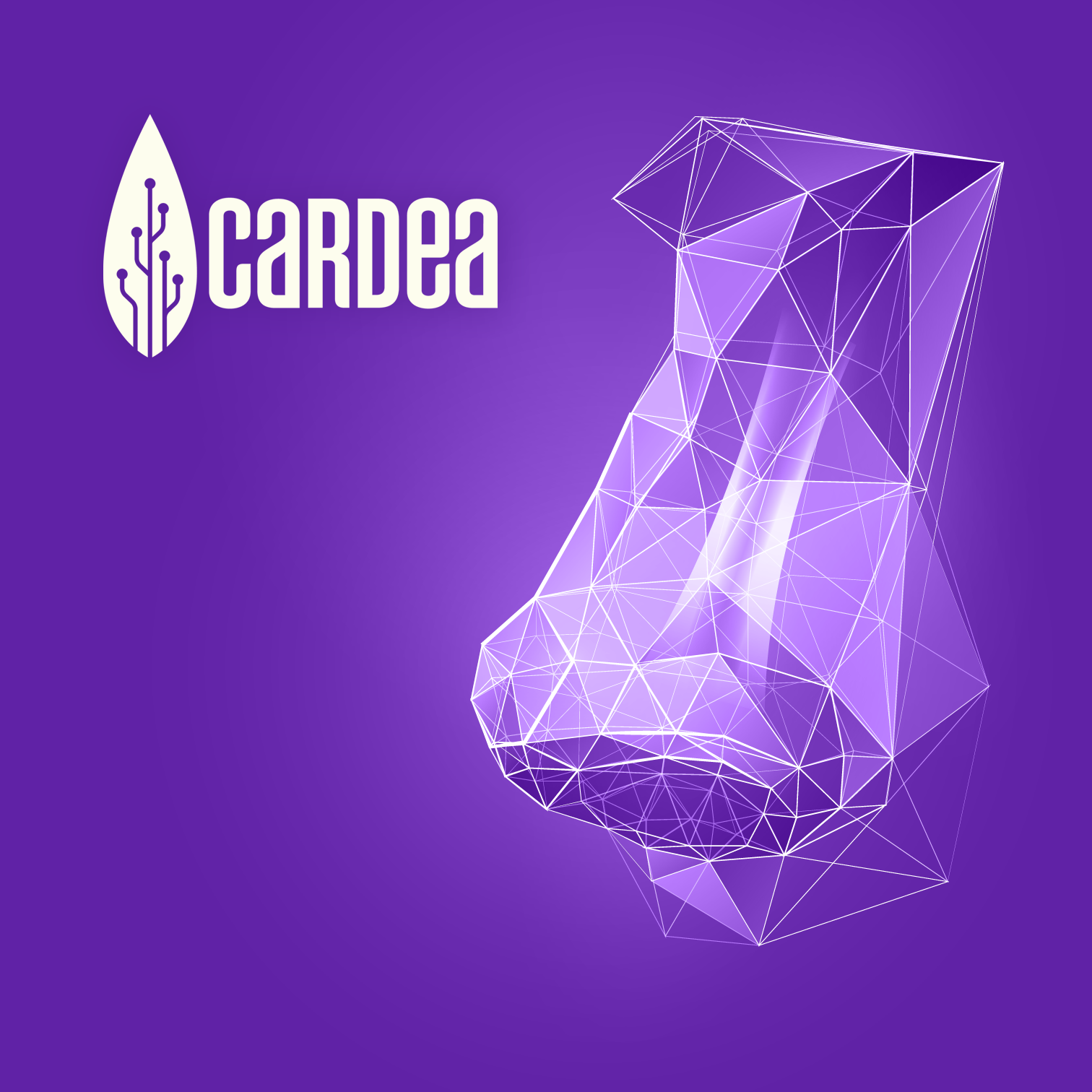 Cardea Bio Inc. | San Diego CA