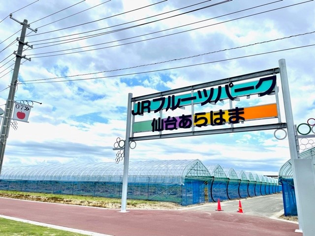 仙台市広報課 宮城県仙台市 Local Business Facebook