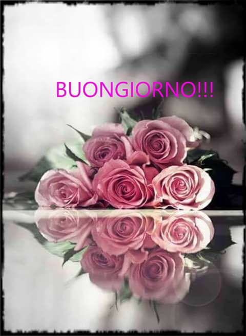 Il Buongiorno di Mamma - Uno splendido buongiorno a tutti e a tutte ️ # ...