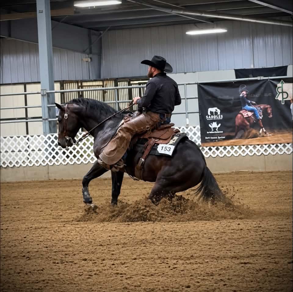 Both foundation bred 4y/o geldings will be offered at Tri-State Select ...