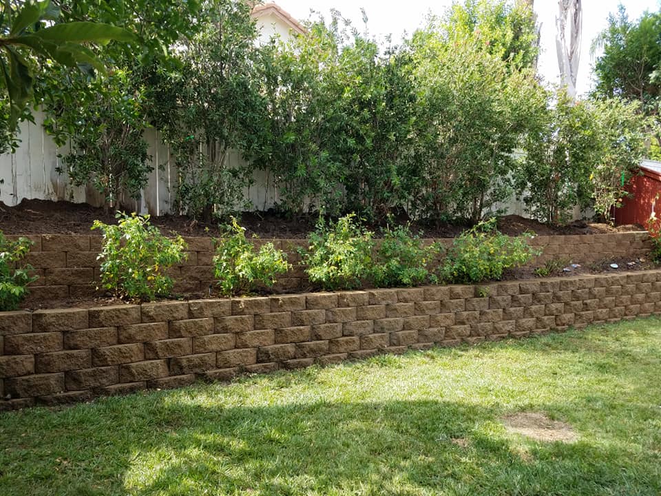 Master Tree Services | San Diego CA