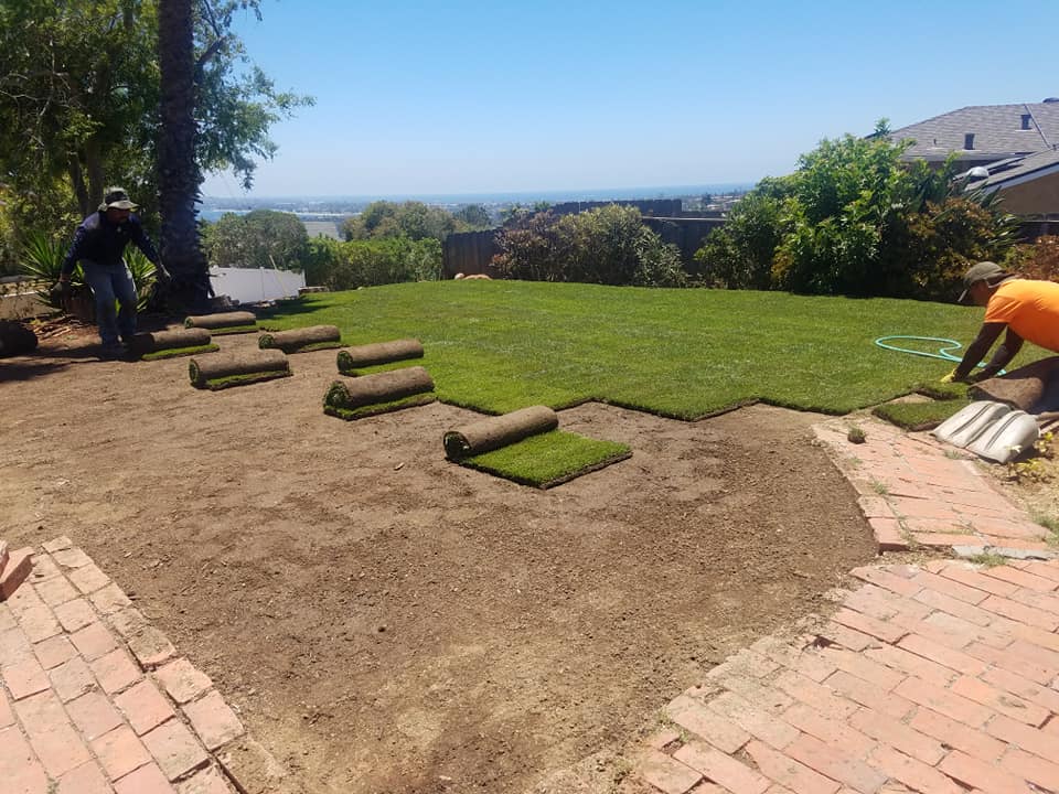 Master Tree Services | San Diego CA