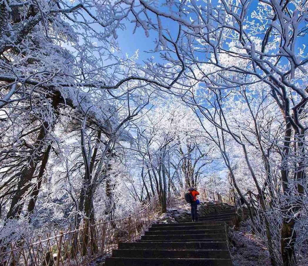 候鳥旅遊網 - 迷人的雪景名列黃山的五絕之一 #霧淞 #光明頂 #銀白世界 #chinatravel...