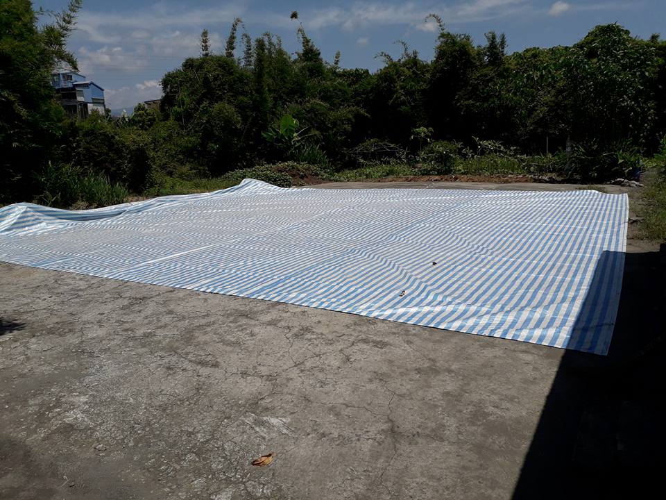 鳥仔清飯 20180701 一個下午 一個上午 把曬穀場整理了 藍白帆布曬好了 就等割稻曬穀了 Facebook