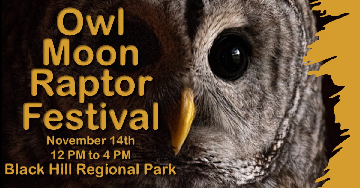 Owl Moon Raptor Festival