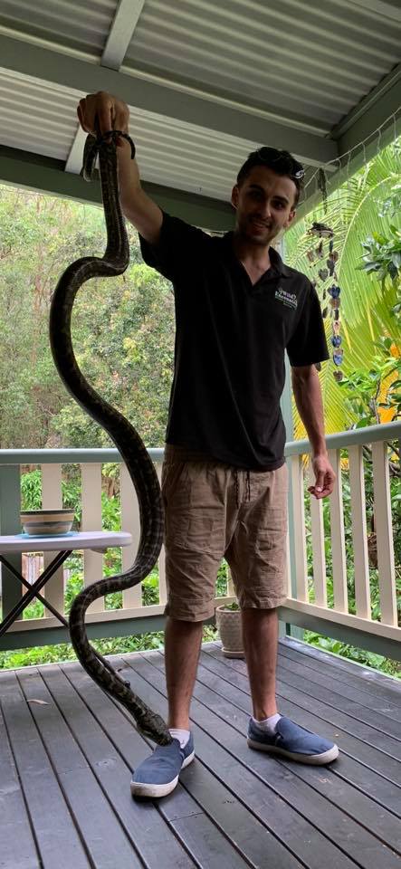 Northern Rivers Snake Catcher