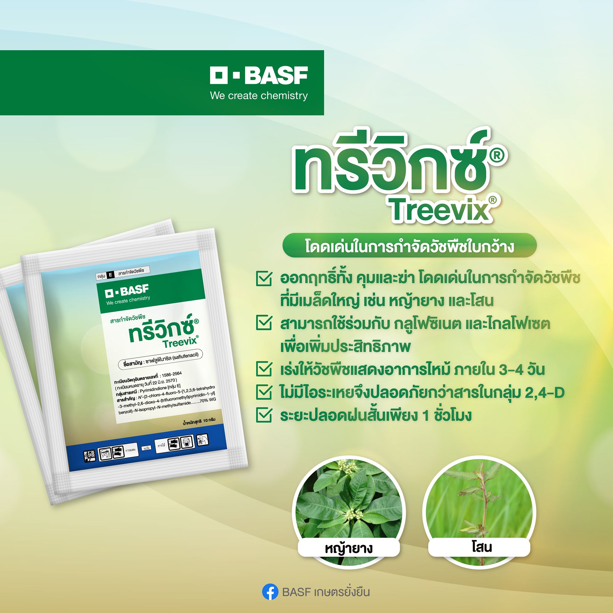 Treevix® ทรีวิกซ์®... - BASF เกษตรยั่งยืน | Facebook