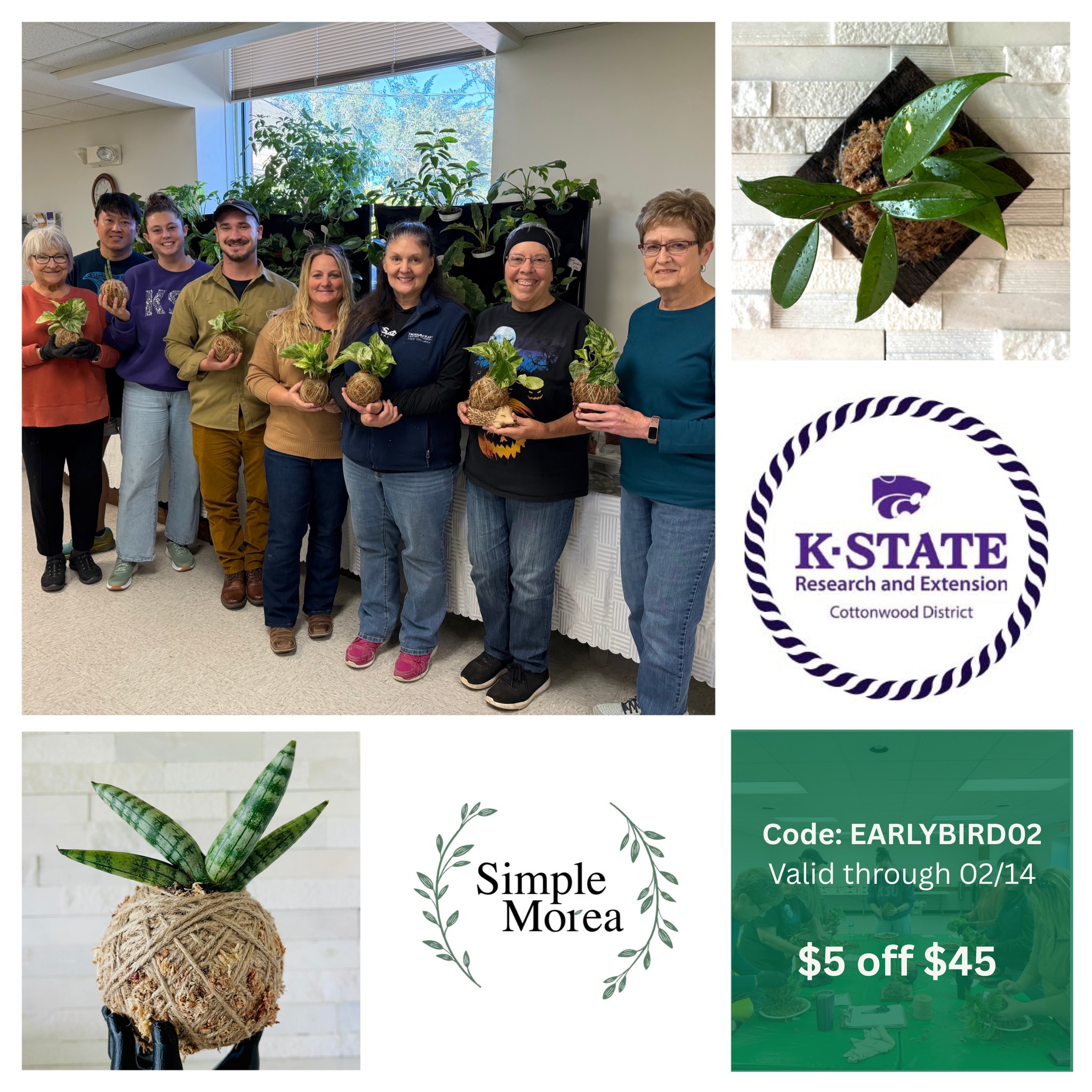 Workshop - Kokedama & Wall Mounted Art