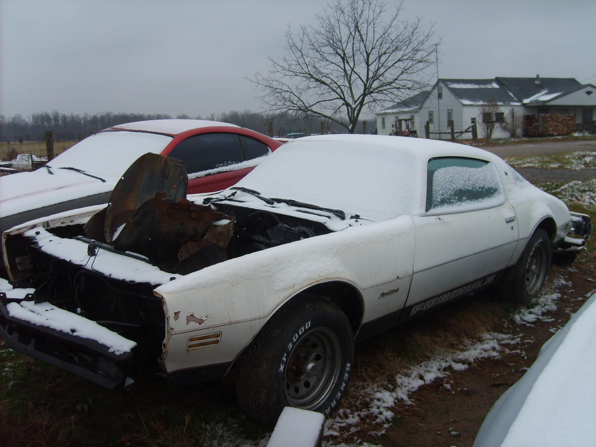 Went through some cars I had left from my days as a Kiddo. Thoughts?