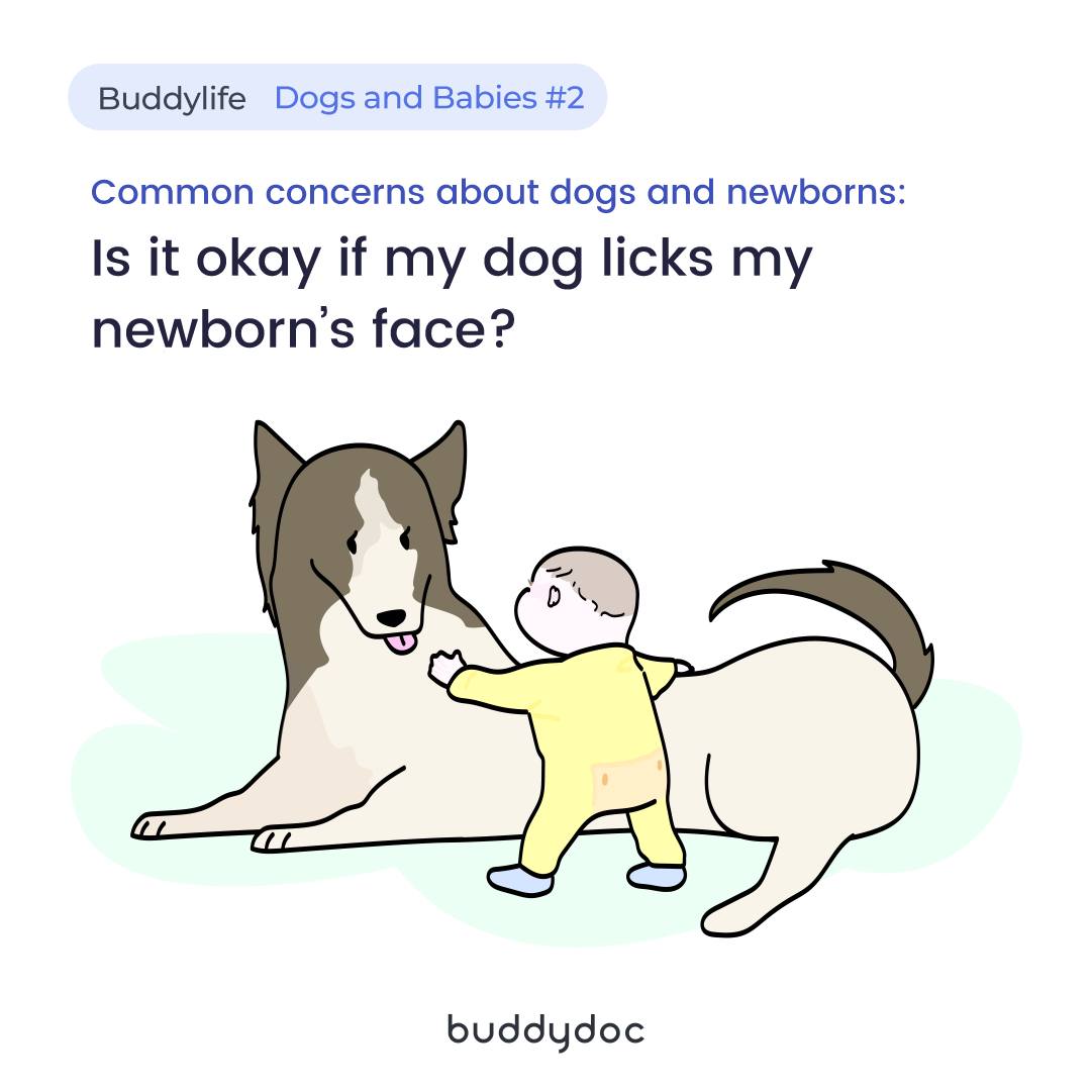 Buddydoc - Dog and Cat Symptom Checker