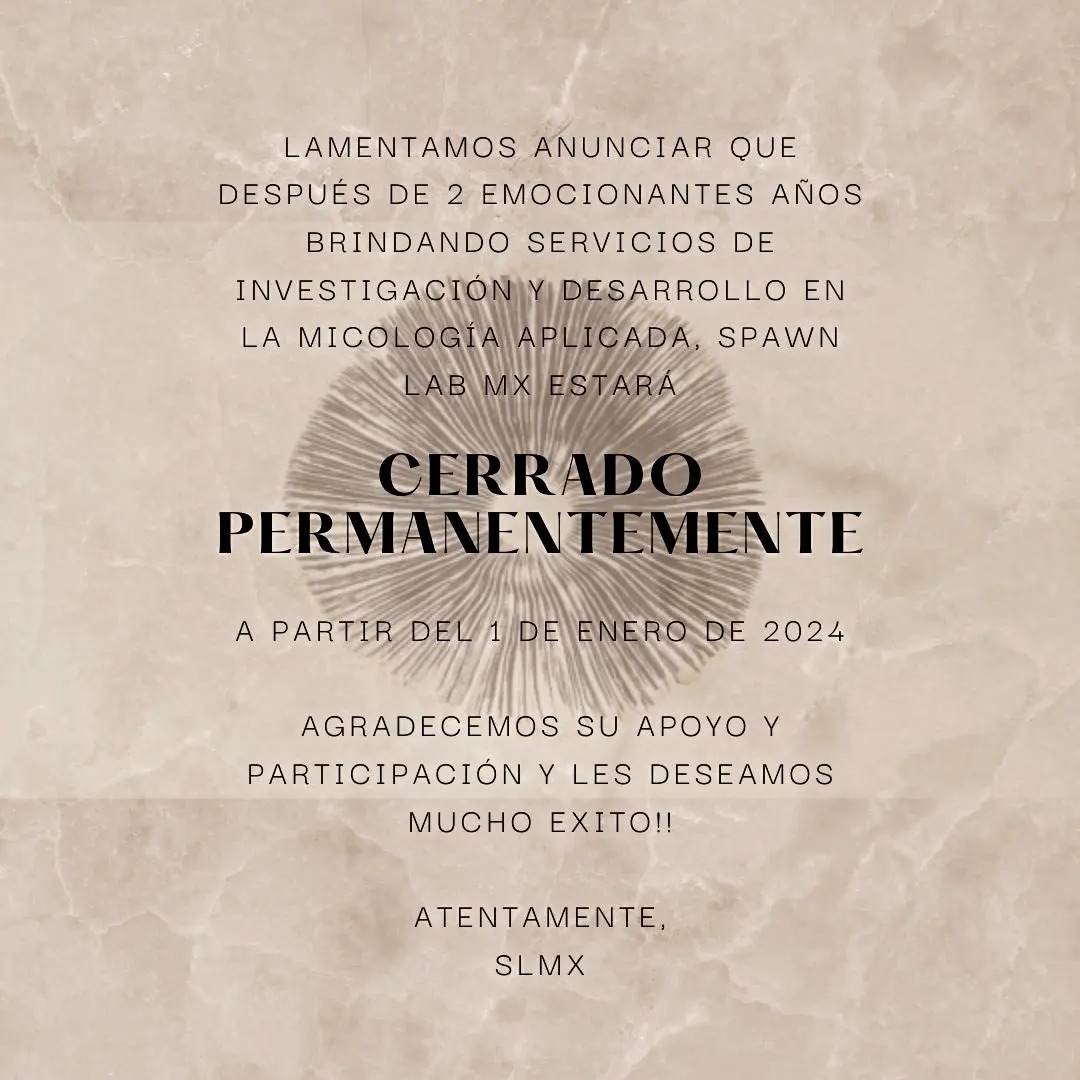 Spawn Lab MX | Mérida