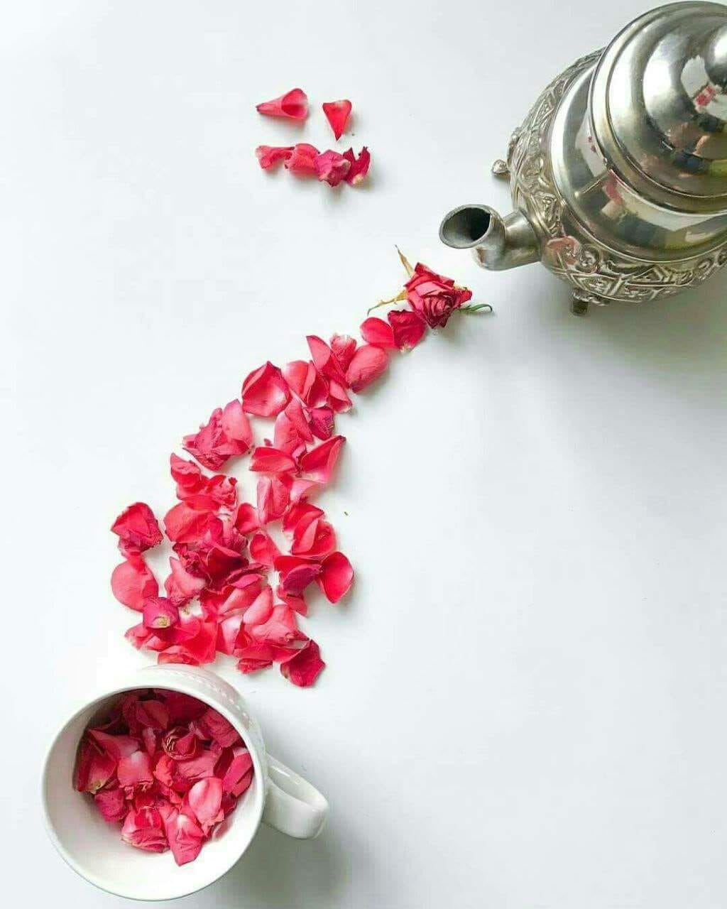 عطر الحياة ازرع الفرح حيث حللت ابحث عن بسمات تهديها فيسبوك