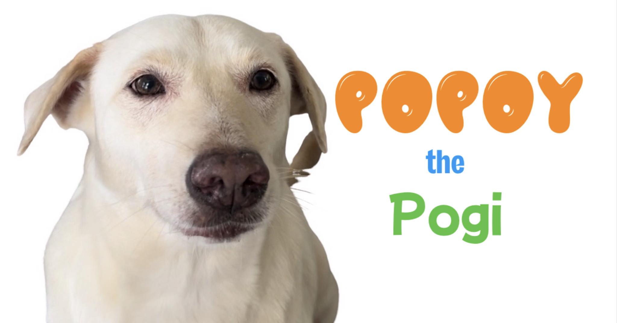 Popoy