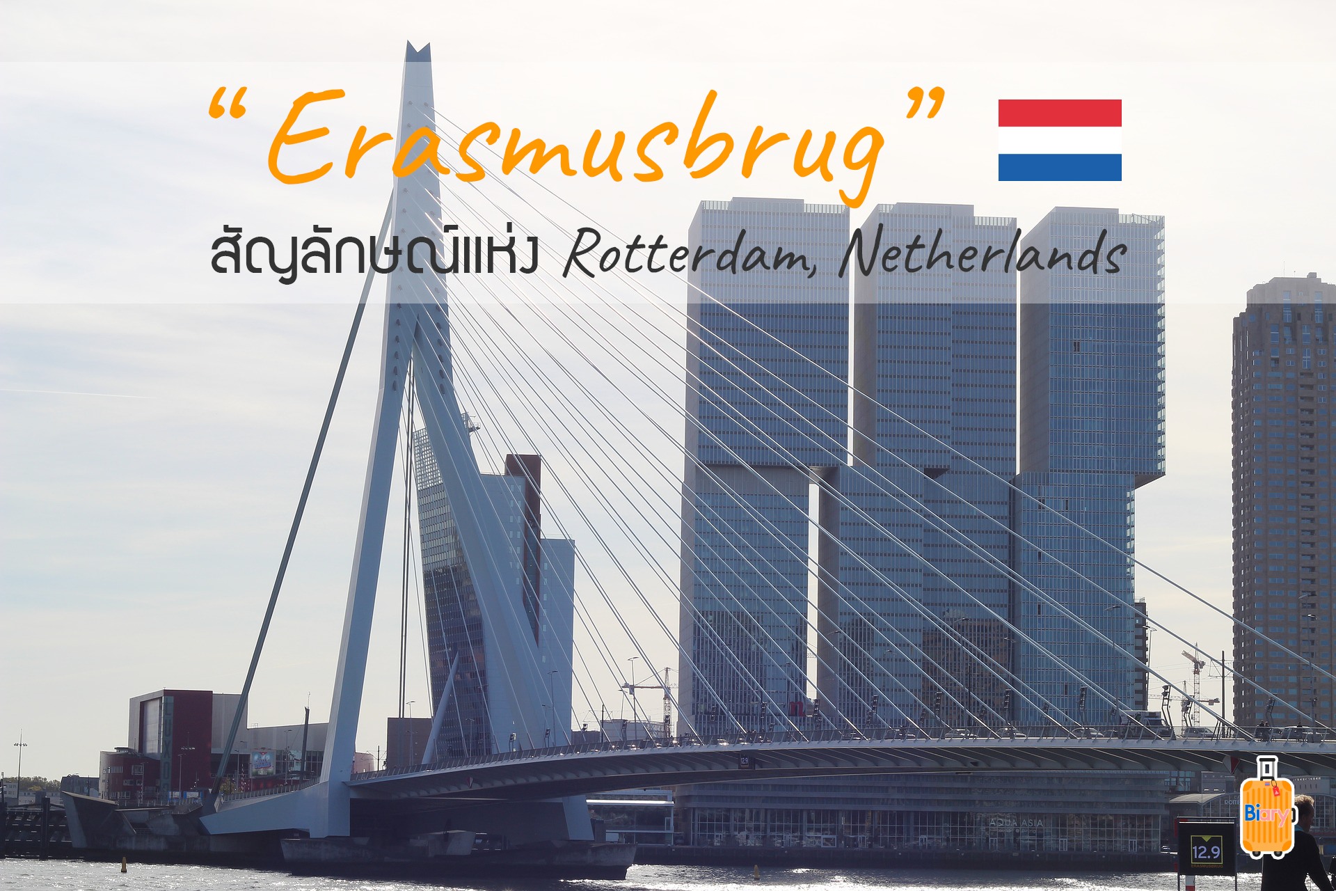 Biary - Erasmusbrug สัญลักษณ์แห่ง Rotterdam, Netherlands .... | Facebook