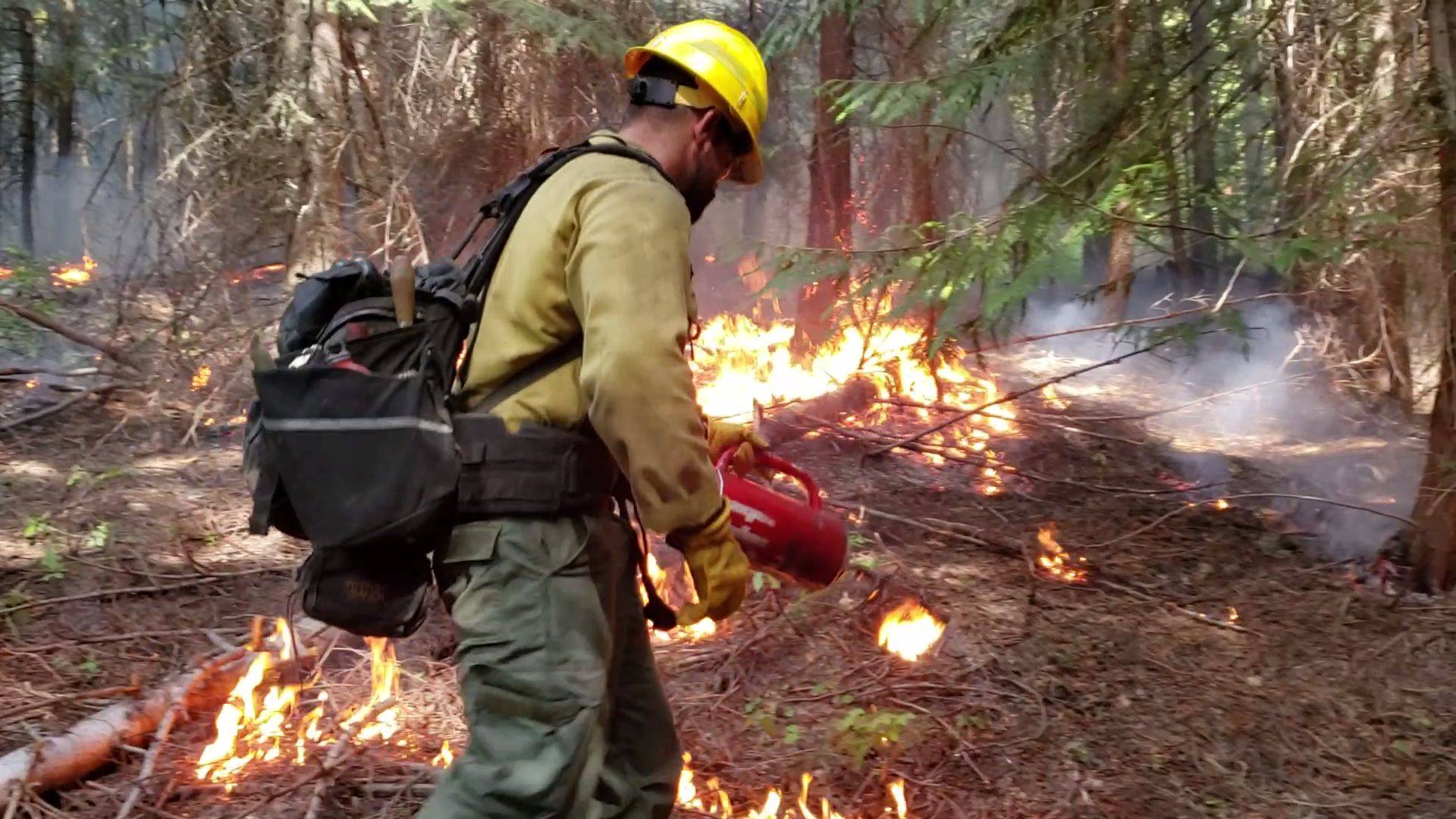 #NorthMillCreekFire Update: 08/11/19 Yesterday the hotsaws and dozers ...