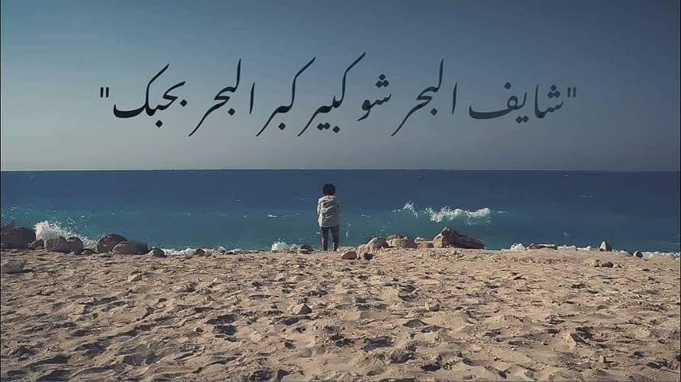 Mervat R Kunch