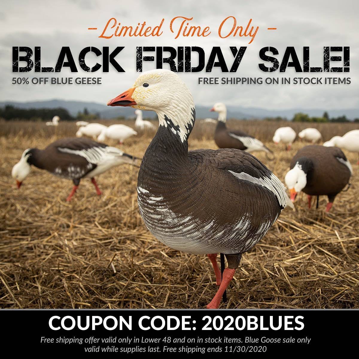 For a limited time we’re... - Dave Smith Decoys / DSD | Facebook