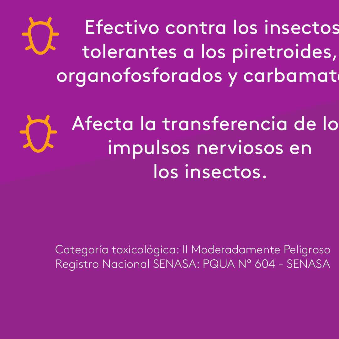 ADAMA Perú - Albatross es un #Insecticida es efectivo...