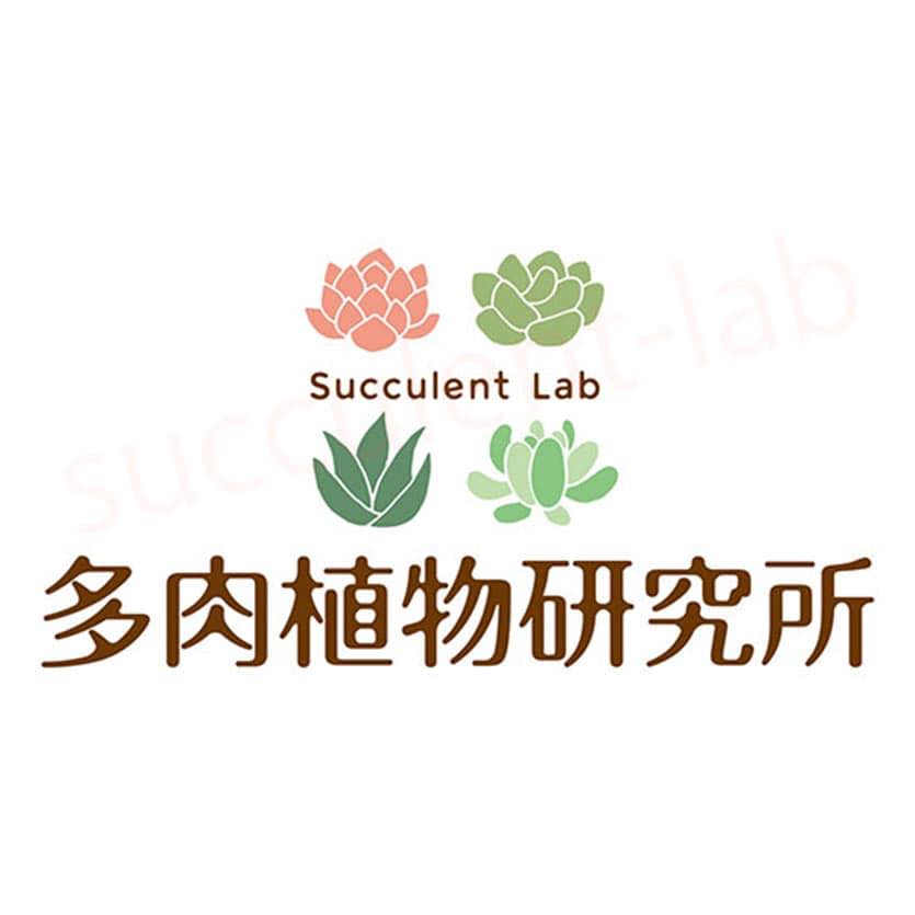 多肉植物研究所