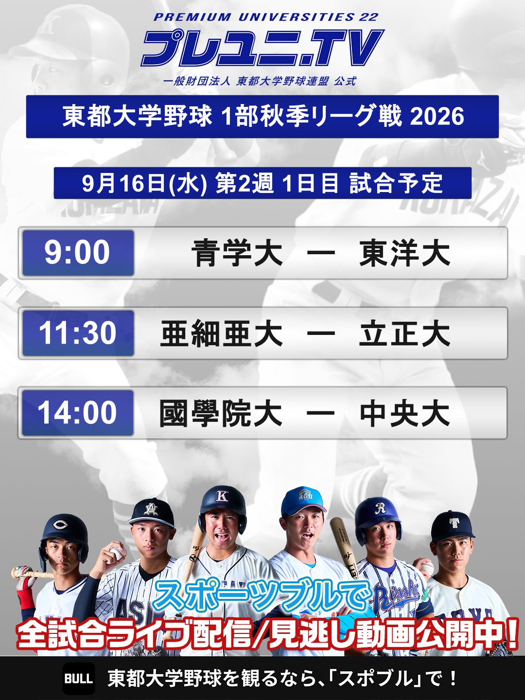 スポーツ ブル