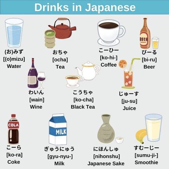 Essential Japanese drink vocabulary for beginners