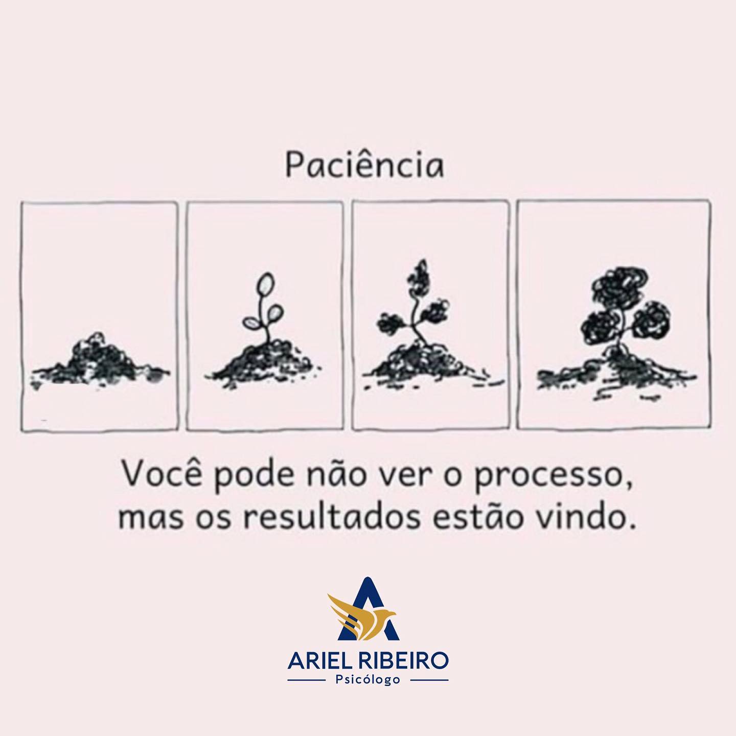 Psicólogo Ariel Ribeiro | Santa Rosa RS