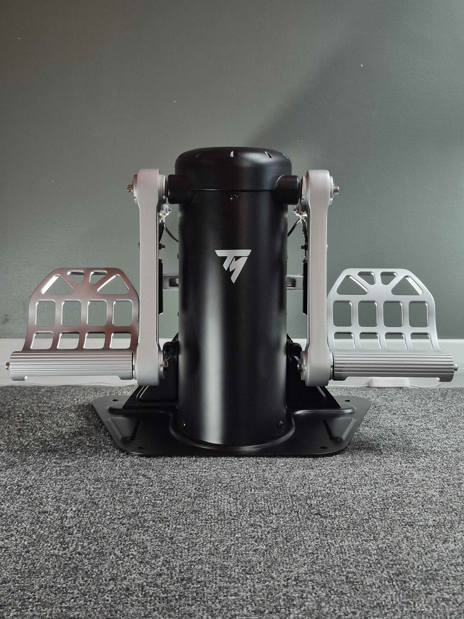 Thrustmaster TPR Pendular Rudder - Weight Lifting Machines & Racks ...