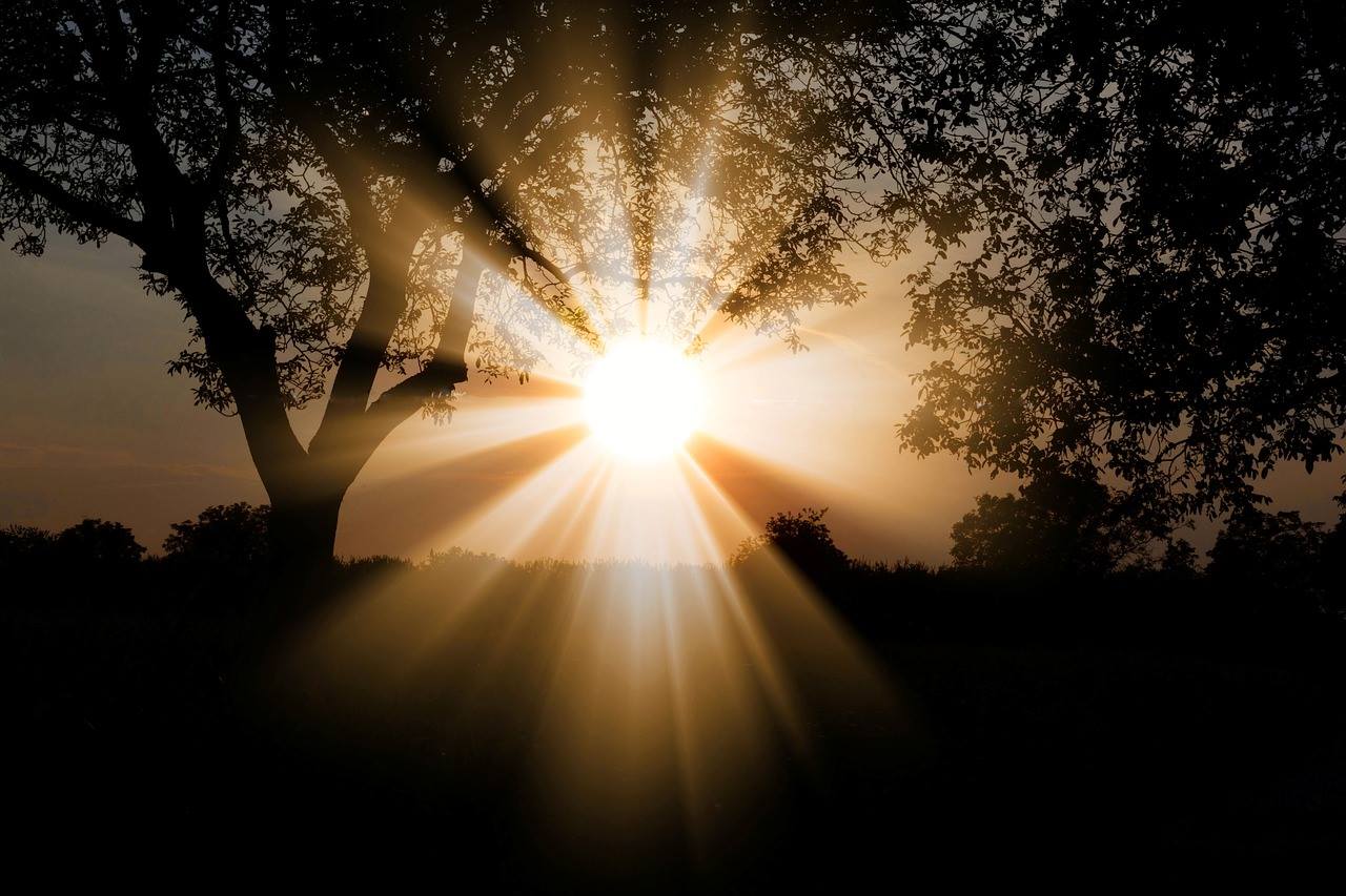 Wildkraut Wenns An Lichtmess Sturmt Und Schneit Ist Facebook