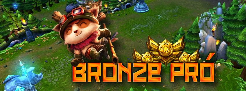 Bronze Pro