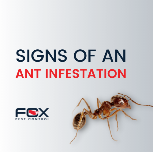Great Description About Pest Control Glen Ellyn