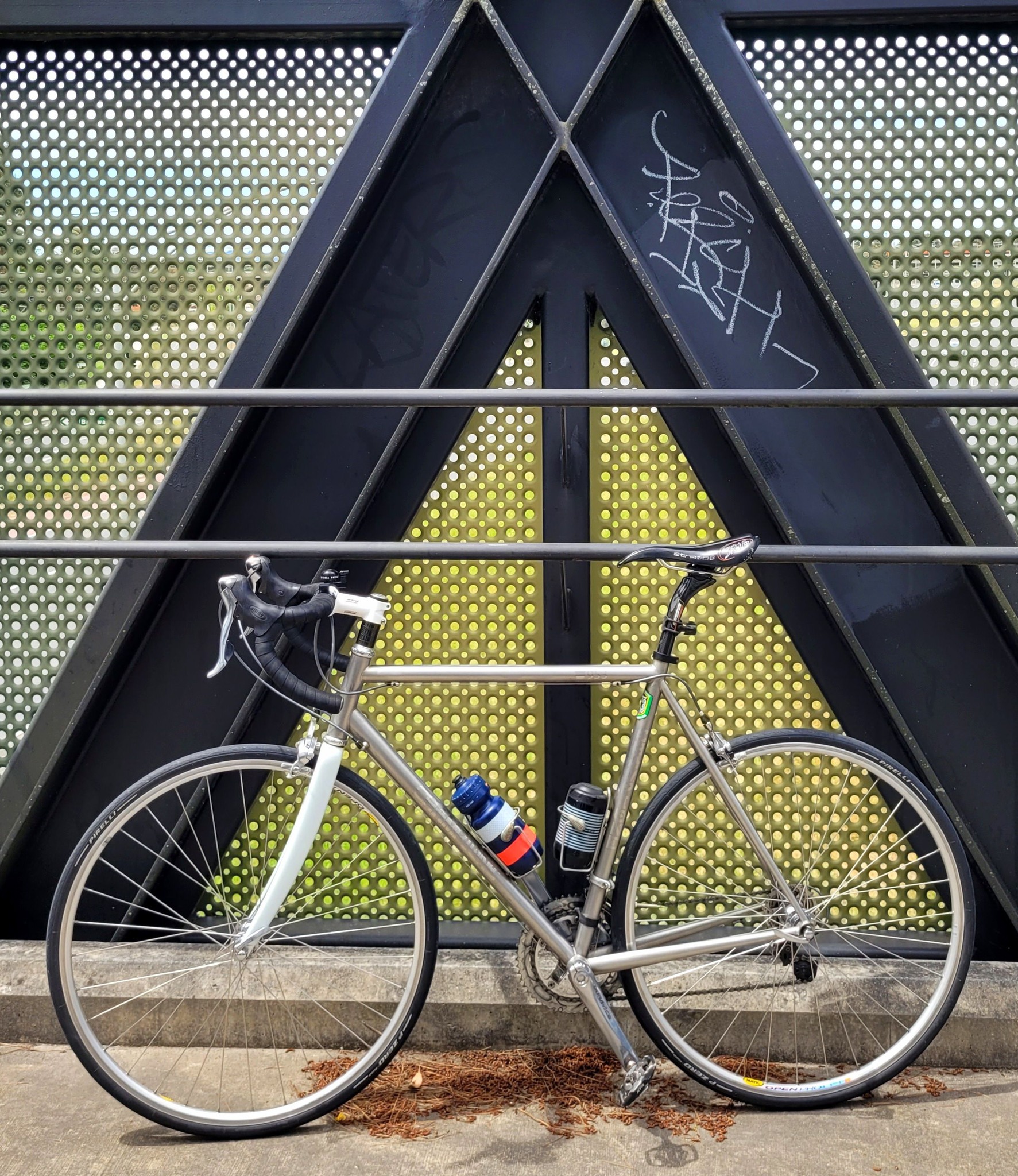 Reynolds 853 steel bike build with Tiagra groupset