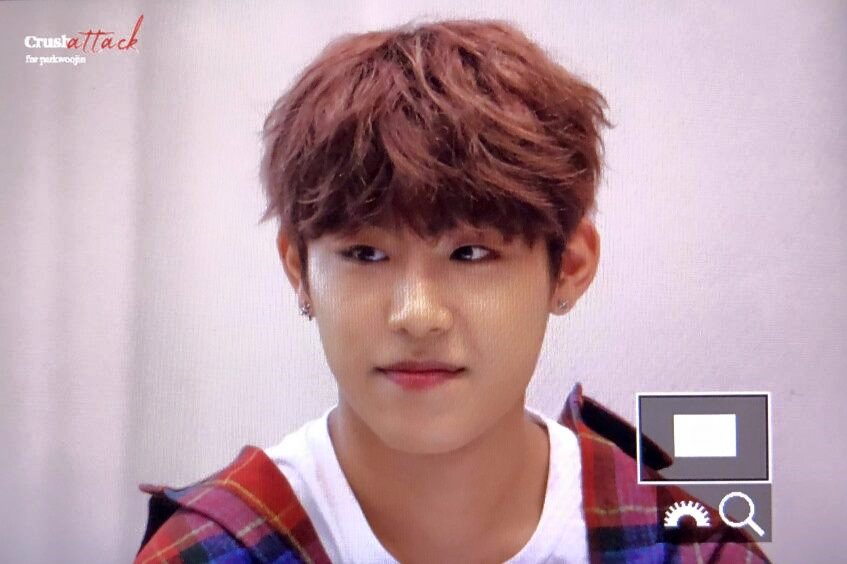 WANNA ONE Park Woojin Biased - Indonesia fanpage - Home 