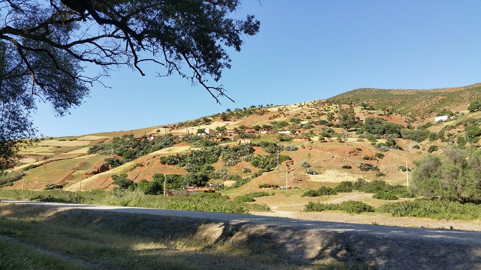 فران علي - واد لو | Oued Laou