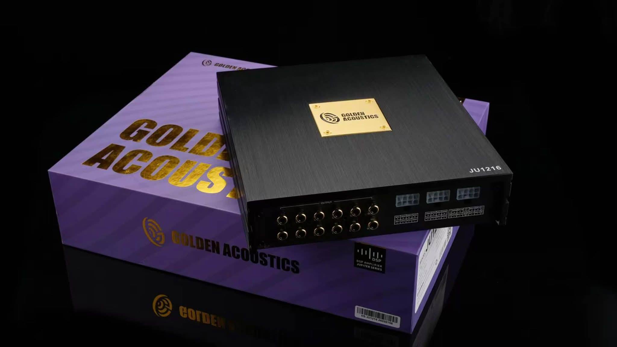 Goldhorn DSPA 406 is a popular DSP with 4 channel high level