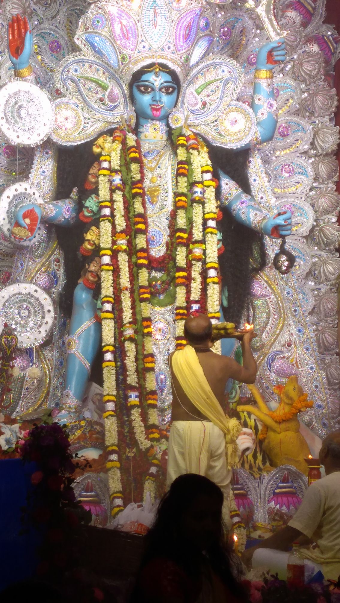 Anath Smriti Sangha .kali Puja