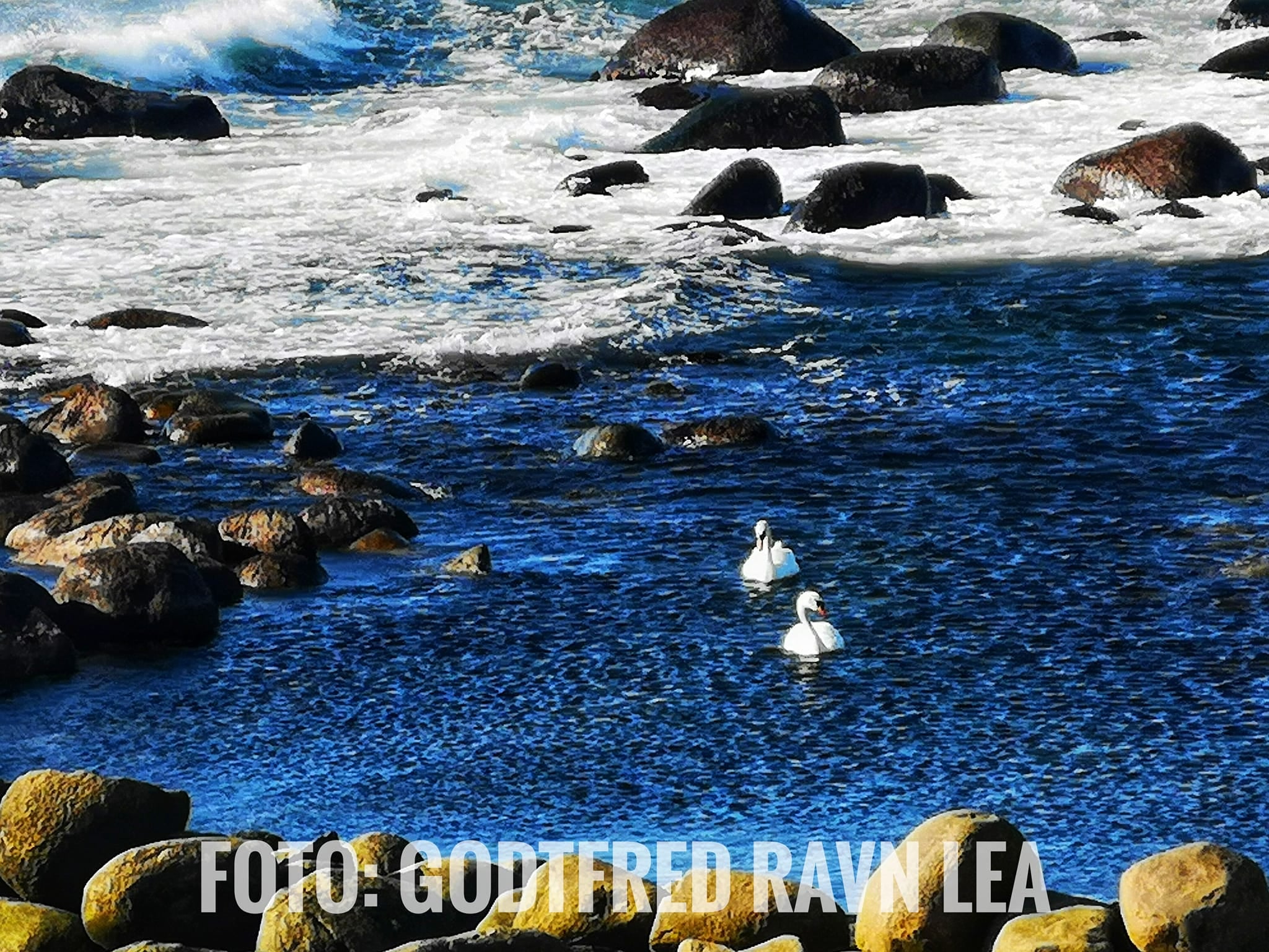 Ravn Lea Foto