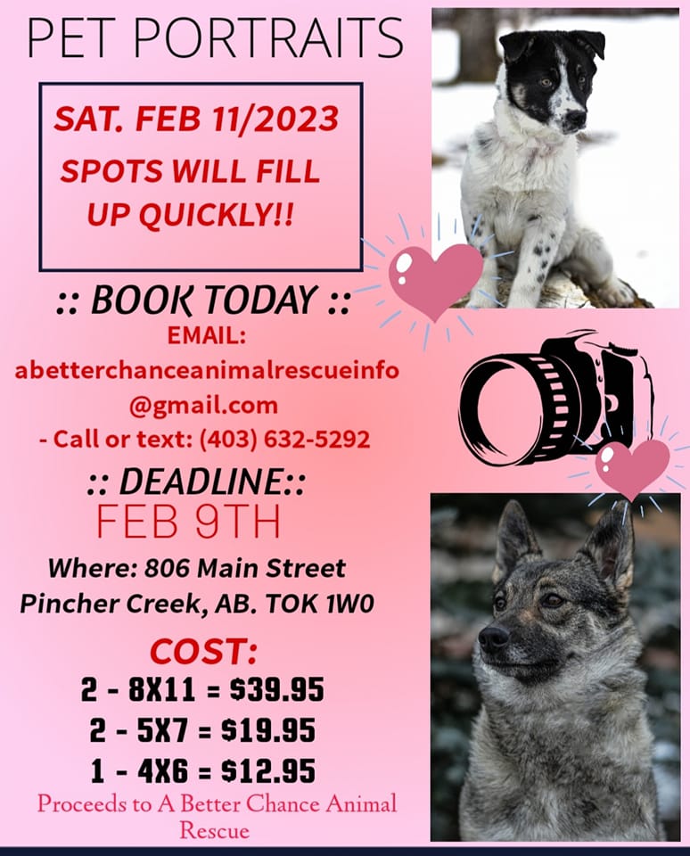 A Better Chance Animal Rescue Adoptables | Pincher Creek AB