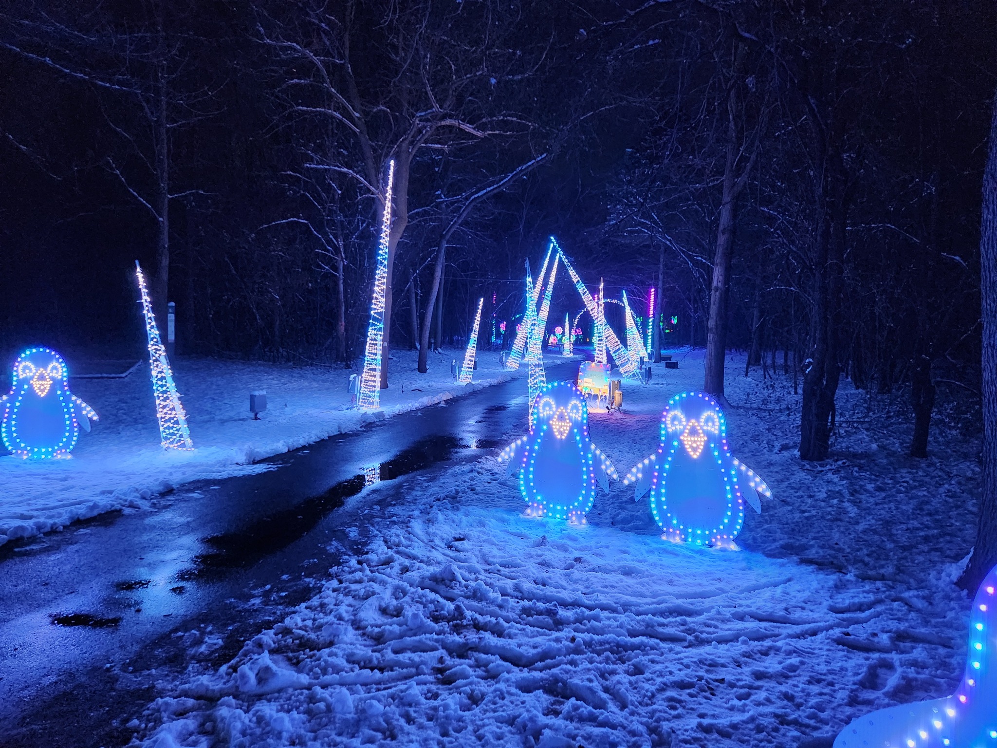 Winter Lights at Central Park