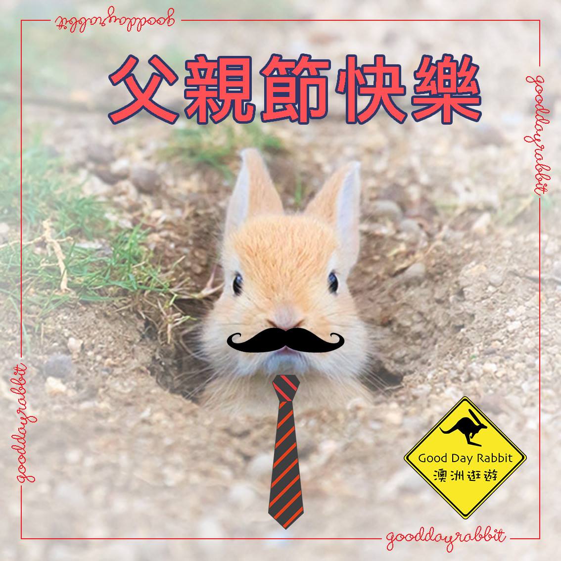 爸爸節快樂！👨🏻 - Good Day Rabbit 澳洲逛遊