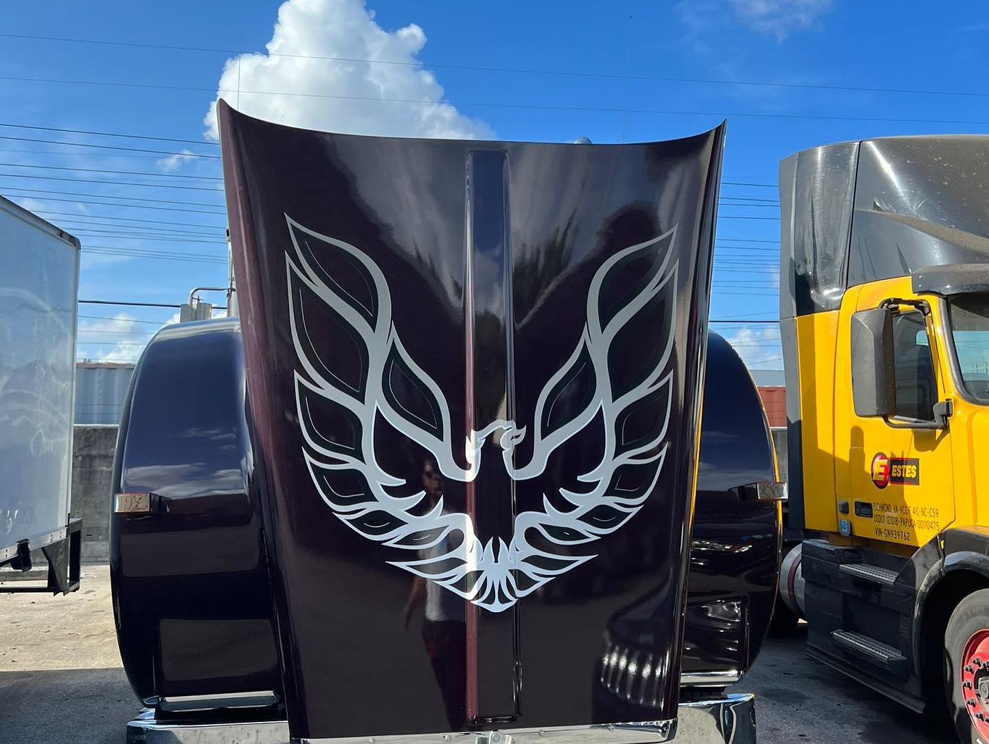 Trimline Graphics International, Inc | Doral FL