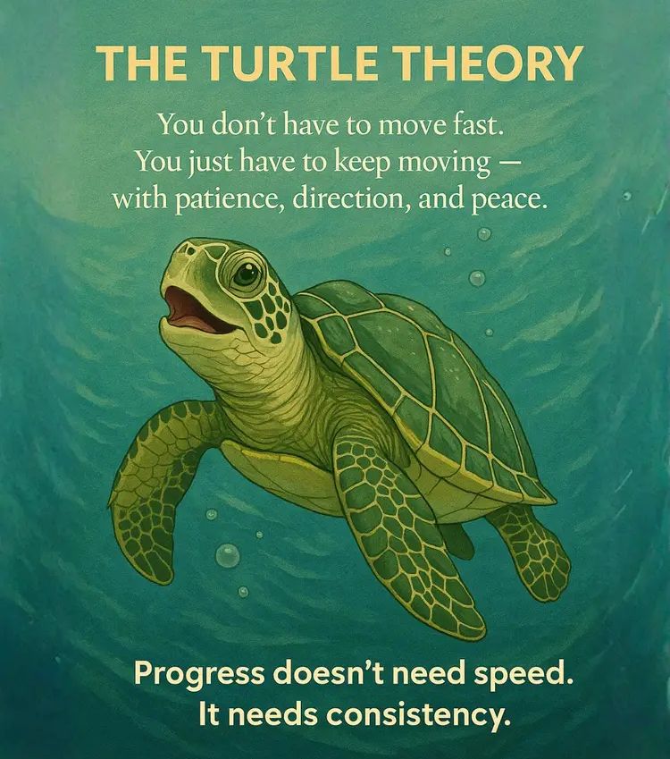 Meditation | turtle theory wait, patience progress meditate | Facebook