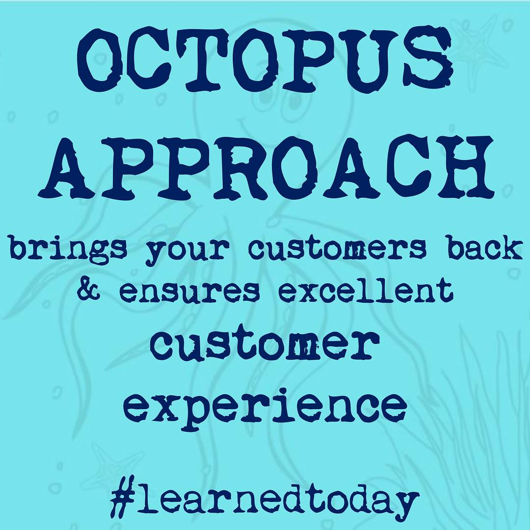 OCTOPUS APPROACH is a new... - LearnedToday - BugünÖğrendim
