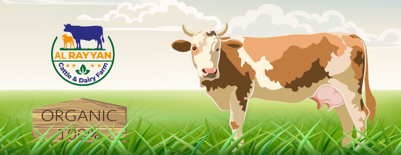 Al Rayyan Cattle & Dairy Farms