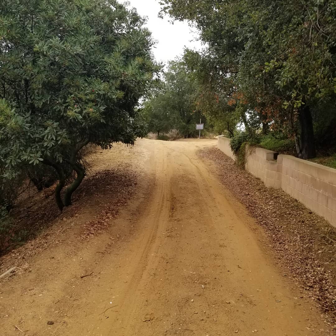 MoonFire - Western vibe, outdoorsy, farm-y, garden-y - let this be your ...