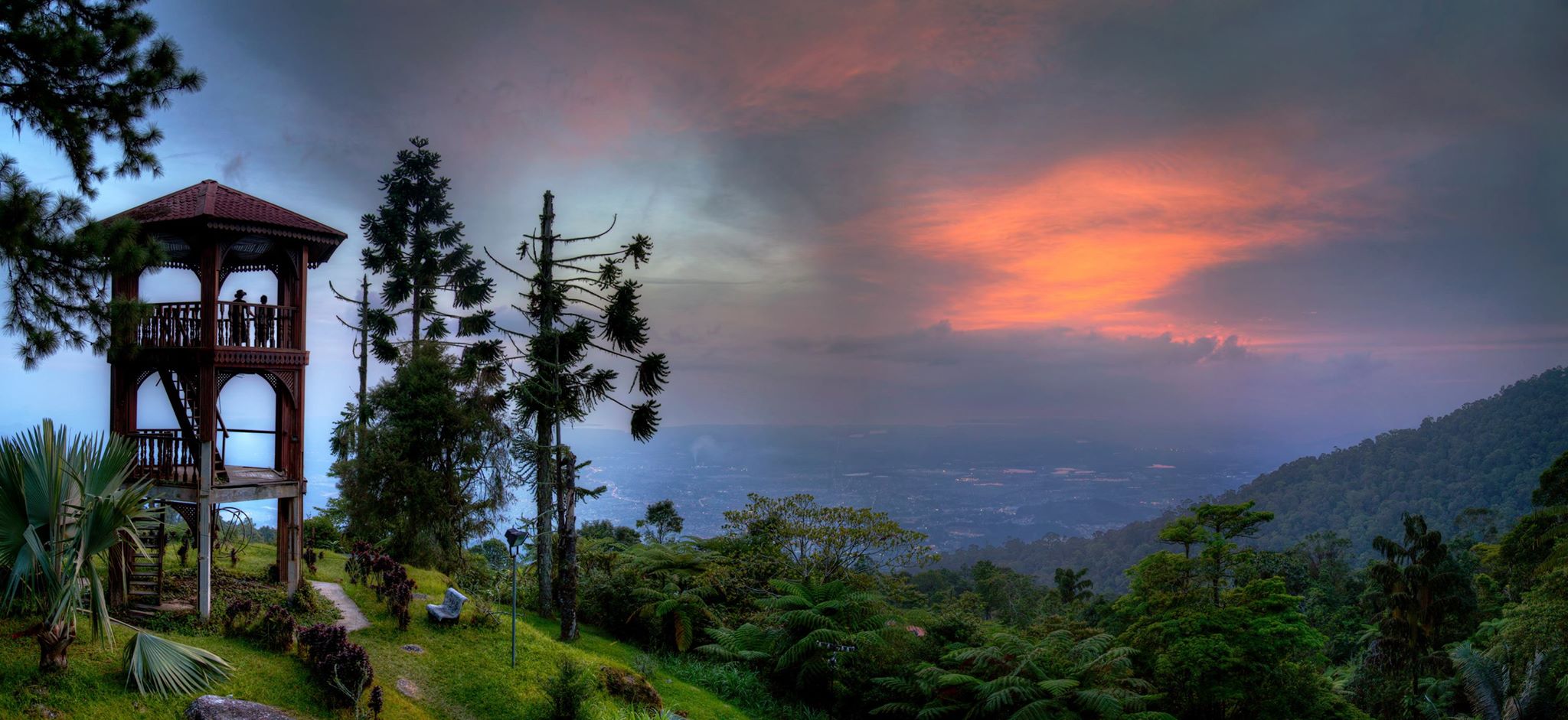 Taman Rimba Bukit Lagong,... - Taman Rimba Bukit Lagong, MPS