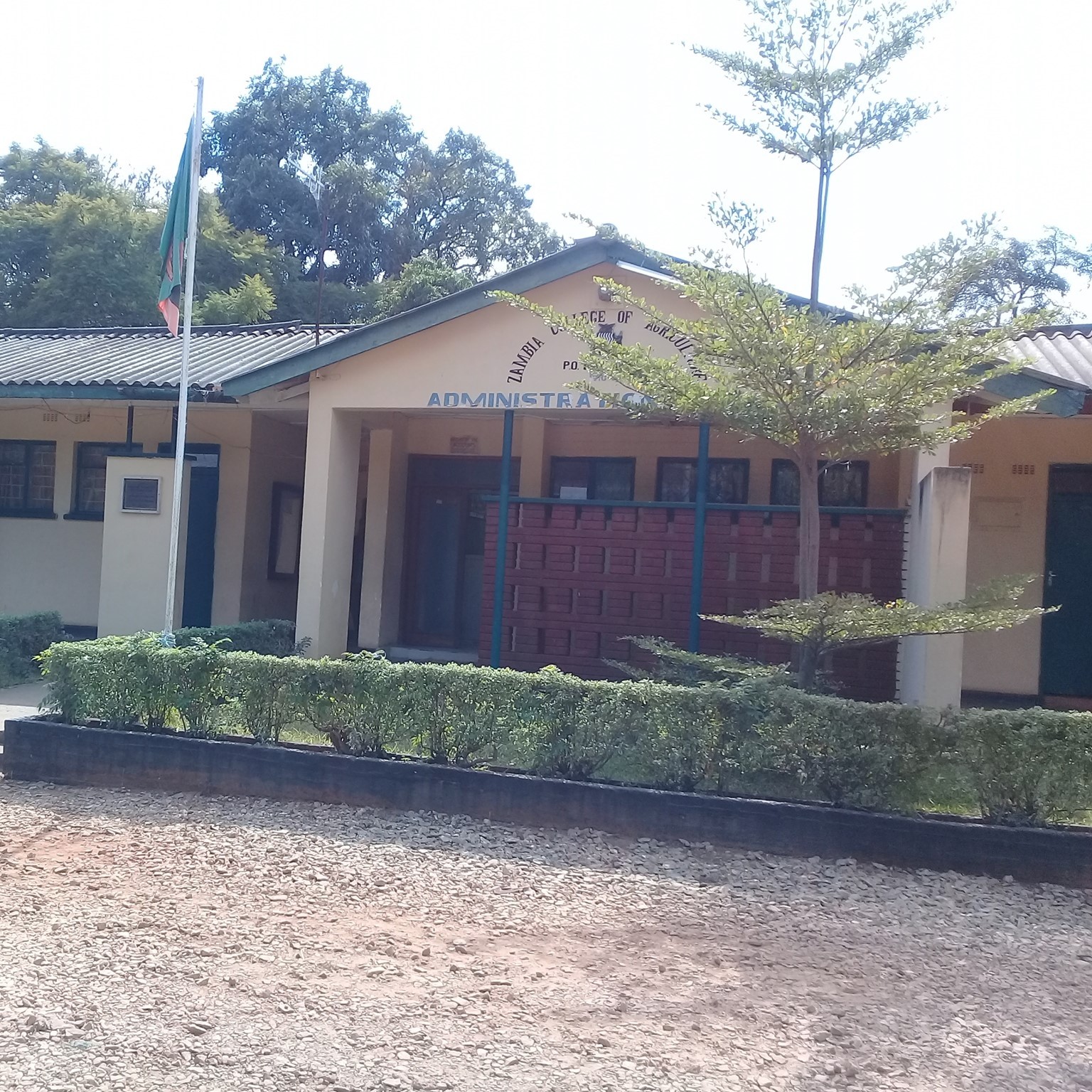 LATEST Zambia... - Zambia College of Agriculture- Monze | Facebook