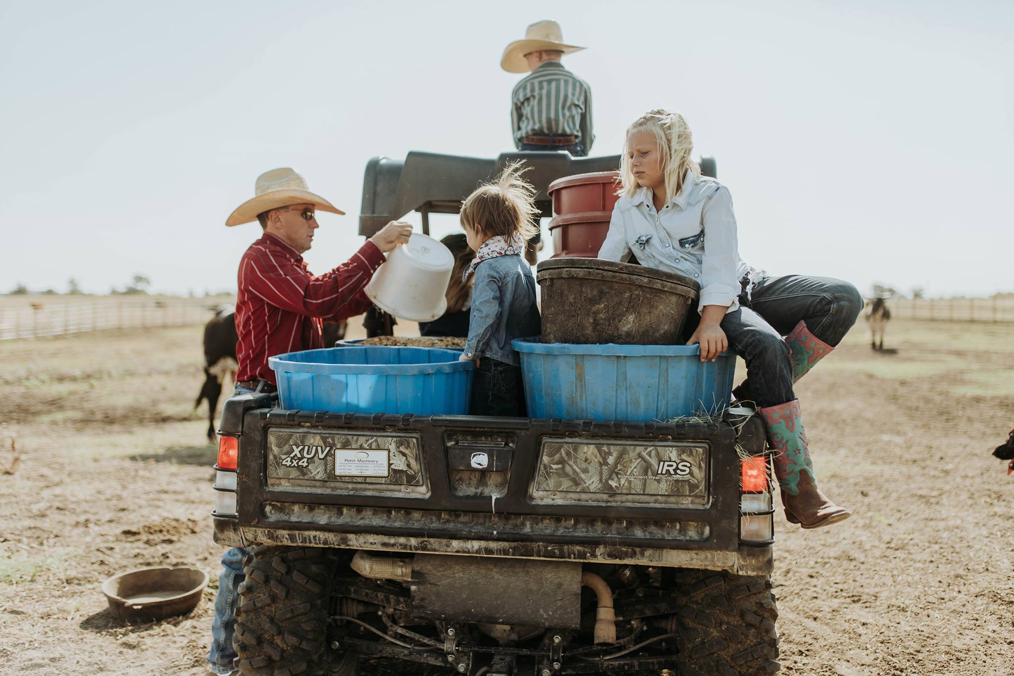 JW Hart / Hart Cattle Company - Home
