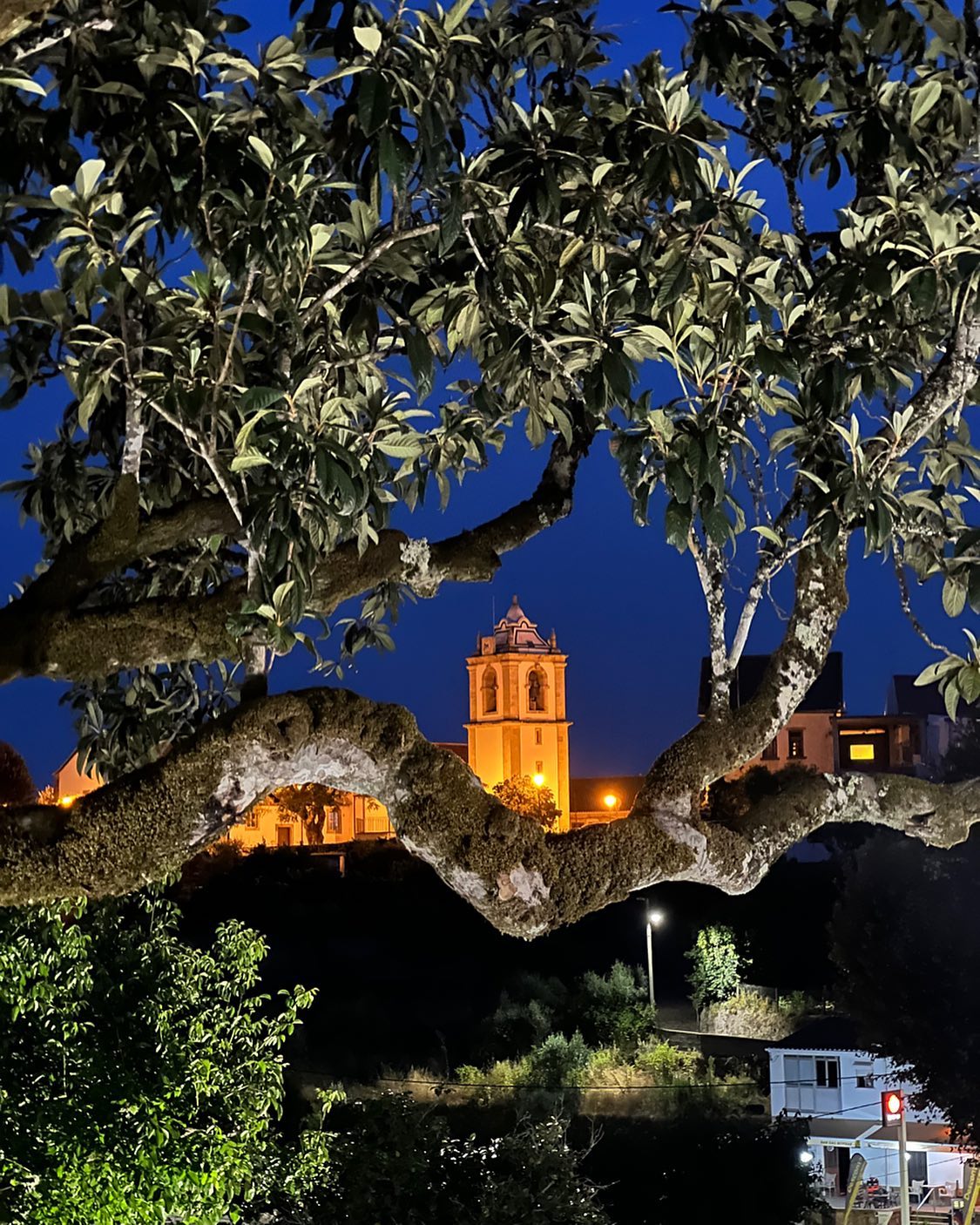 Quinta da Rocha 1875 | Pedrógão Pequeno
