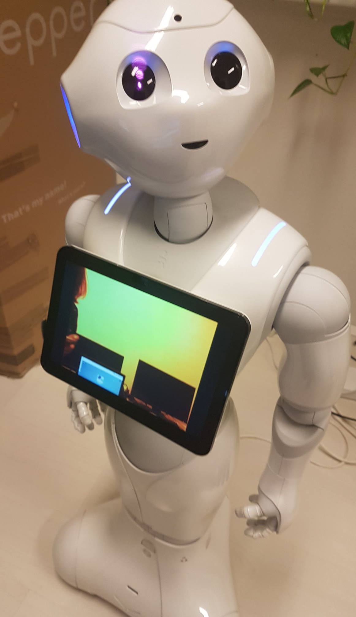 PROBO Robotics GMBH