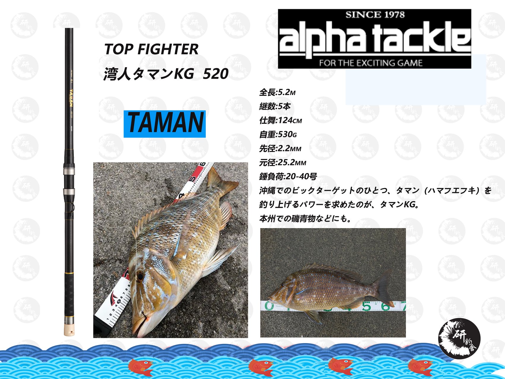 ALPHA TACKLE 灣人TAMAN 520 抵玩連尖竿！！！ 遠投性能高，底物，青物